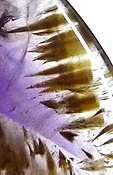 am�thyste � goethite