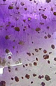 amethyste � oxyde de fer