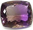 bolivianite poisson