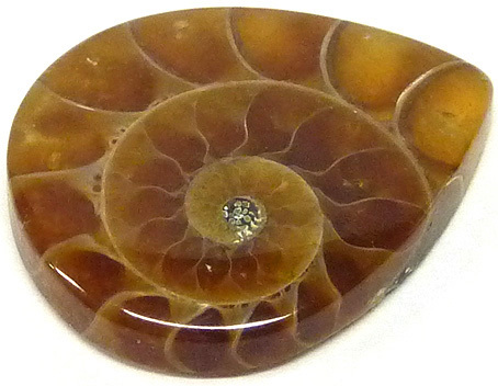 calcite dans madagascar ammonite