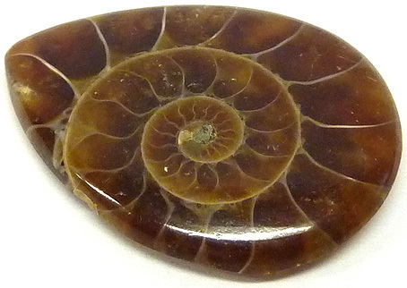 ammonite madagascar remplie de calcite