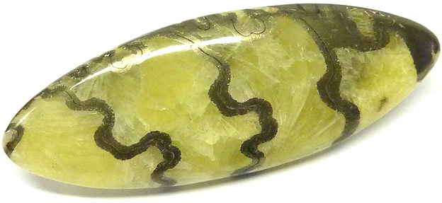 ammonite calcite pyrite grande bretagne