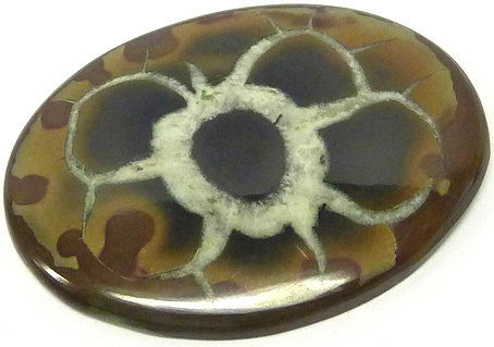 maroc septaria avec calcite blanche