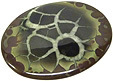 calcite blanche dans septaria marocaine
