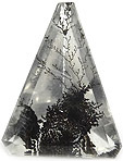 cristal de roche dendritique