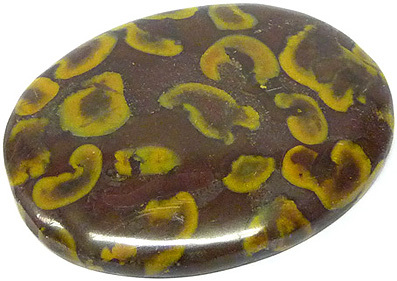 jaspe conglom�r� - conglomerate jasper