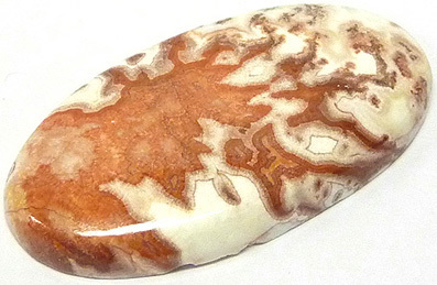 jaspe rosetta jasper