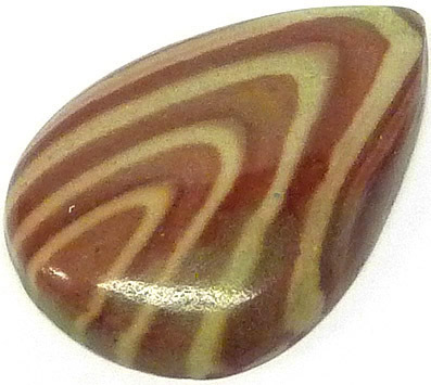 jaspe zebre - zebra jasper