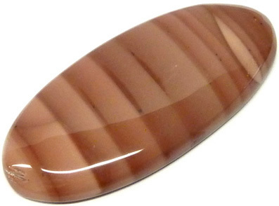 jaspe zebre - zebra jasper