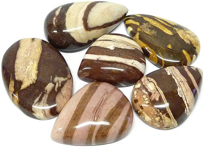 jaspe zebre - zebra jasper