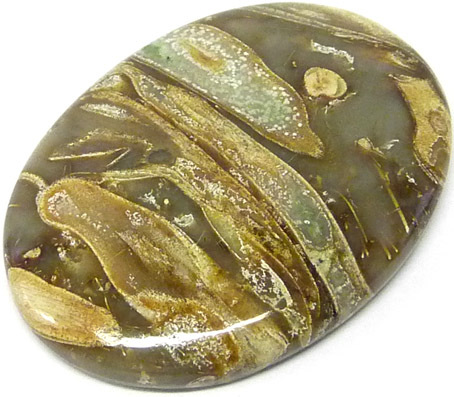 bois silicifié