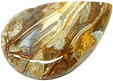 bois fossilis�