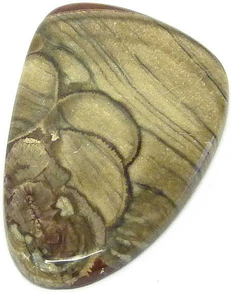 arizona rhyolite champignon