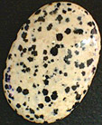 jaspe dalmatien