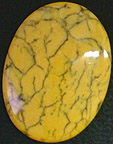 jasper dendritique australie