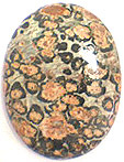 jaspe leopard