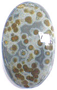 jaspe ocean madagascar