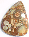 jaspe orbiculaire