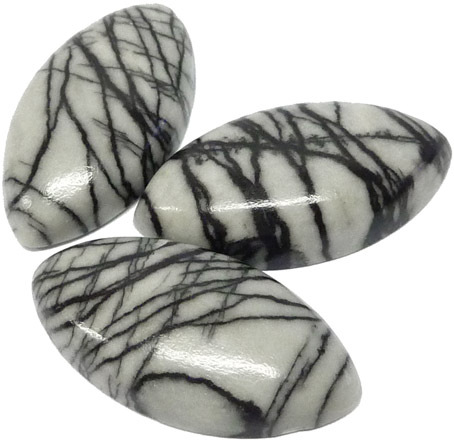 jaspe zebre