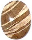 jaspe zebre afrique