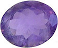 afghan marialite violette afghanistan
