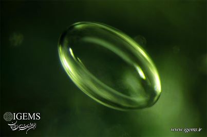moldavite inclusion bulle aplatie