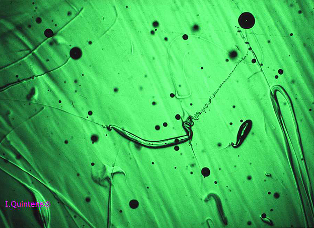inclusions lechatelierite dans moldavite