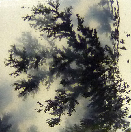 inclusions dendritiques opale commune