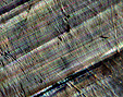 d�tail opale commune