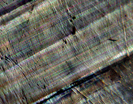 d�tail opale commune