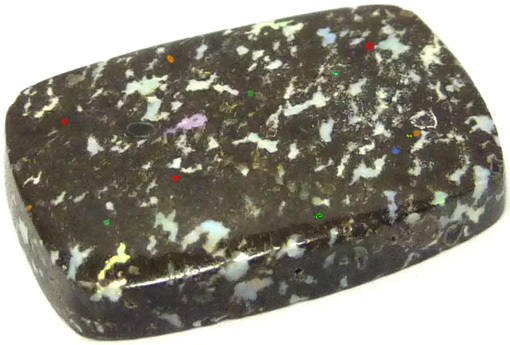 opale leopard mexique