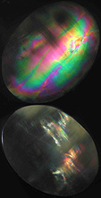 couleurs interference au polariscope dans opale commune