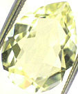 orthose jaune malgache