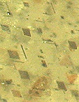 inclusions dans la pierre de lune