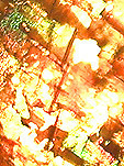 pierre de soleil � inclusions