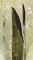 astrophyllite inclusions dans quartz