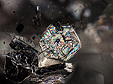 inclusion mica dans Quartz