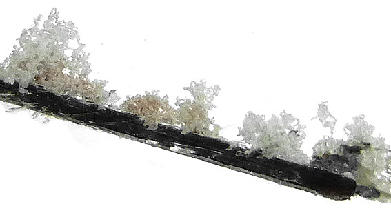 tourmaline noire schorl inclusion dans quartz