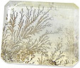 dendrites inclusions dans quartz