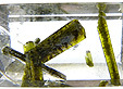 epidote inclusions dans quartz