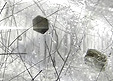 mica inclusions in quartz