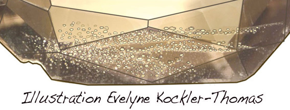 givres et libelles dans le quartz fum�e