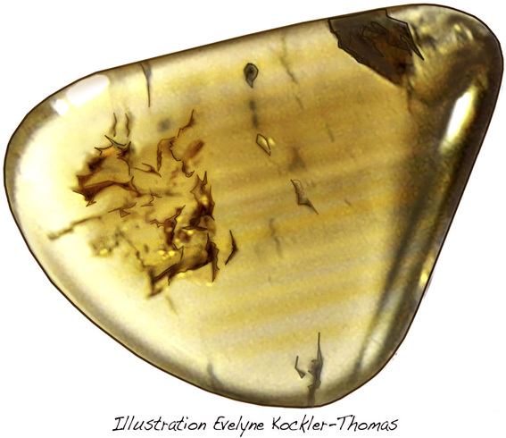 zones de couleurs rectilignes dans le quartz fum�
