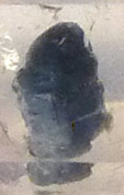 diopside inclusions in rose quartz