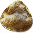 agate paysage