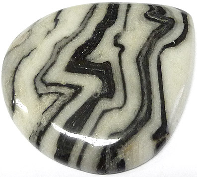 jaspe zebra jasper