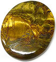 tiger eye