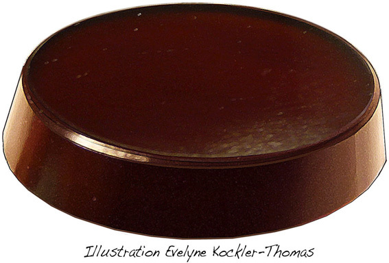 sardoine marron monochrome