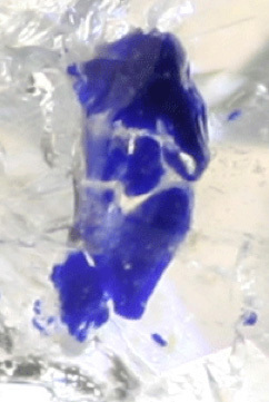 inclusions lazurite dans marialite