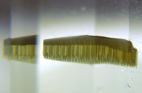 inclusion d'une phlogopite dans la topaze